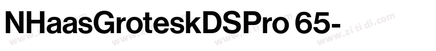 NHaasGroteskDSPro 65字体转换 NHaasGroteskDSPro 65字体转换